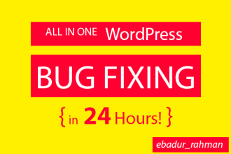 fix any wordpress bug in 24 hours