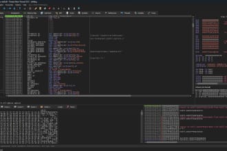 reverse engineer software for you