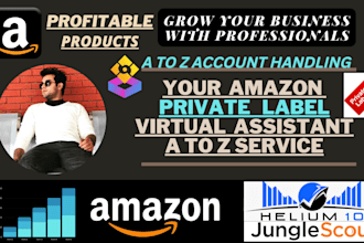 be your amazon fba private label expert virtual assistant VA, pl