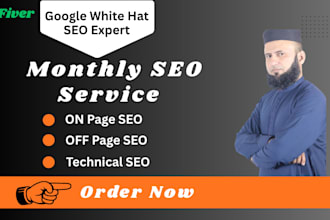 be your professional monthly seo specialist