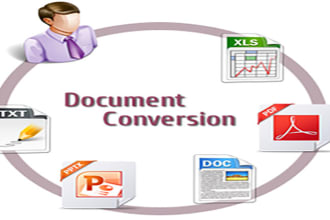 do manual typing work and convert to PDF to word and others