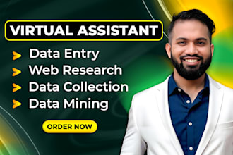be your virtual assistant for data entry, copy paste, typing and web research