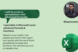 fix any excel or spreadsheet with advanced formulas