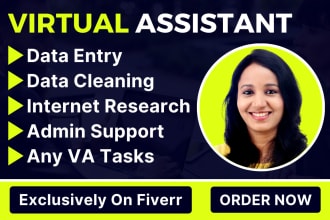 be your virtual assistant for data entry, copy paste, typing, and web research