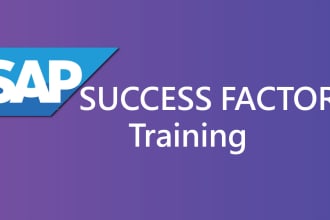 give consultant level training on sf employee central
