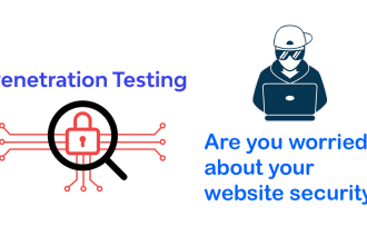 professionally provide website penetration testing