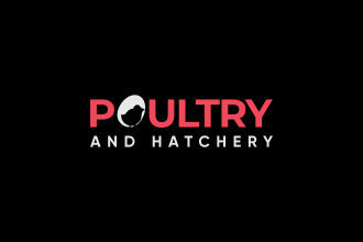 create an modern stunning logo and brand identity