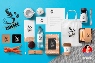 design a new logo and branding kit for you