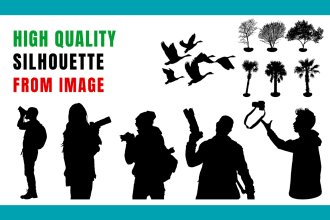 convert any object from picture to vector silhouette or logo