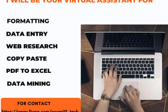 be your virtual assistant for data entry, english typing and web research