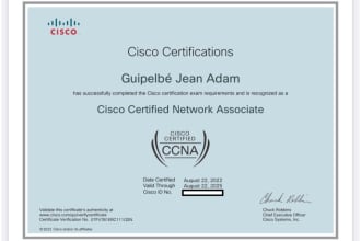 help you with config ccna lab on cisco packet tracer, gns3