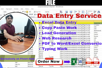 do any web scraping, yellow pages scraping, excel data entry