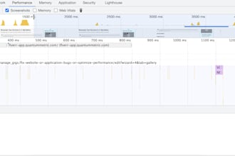 fix website or application bugs or optimize performance