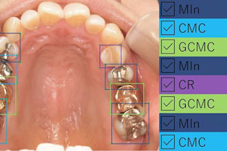 do dental x ray and ct annotation for clinical ai models