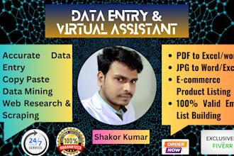 be your data entry virtual assistance for your business to improve