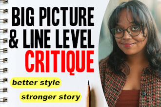 critique your novel, chapter or story