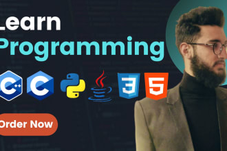 teach  cpp , c programming tutor