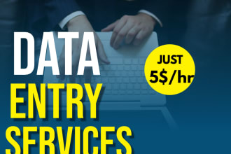 do data entry, excel data entry copy paste, ms word