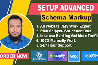 set up rich snippet schema markup into any website