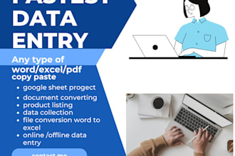 do accurate and fastest data entry expert