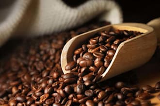 shopping assistant in viet nam