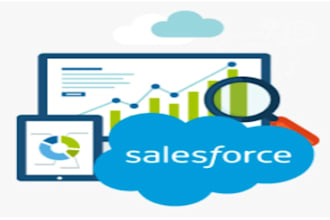 do salesforce CRM consulting