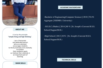 design an attractive marital biodata and CV or resume