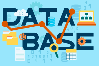 advanced access database development and customization