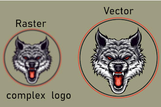 redraw, recreate, redesign, update or modify raster  graphics