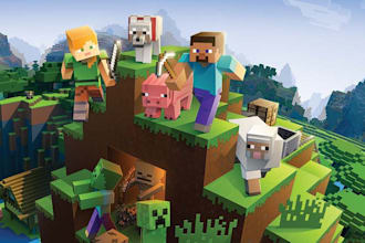 play minecraft with you