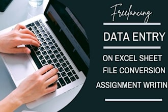 put data in excel sheets
