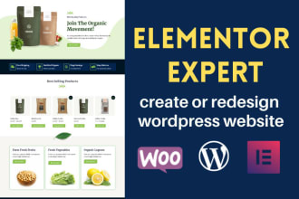 design or redesign website and convert pdf, psd into wordpress elementor