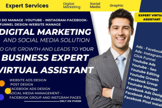 be creative virtual assistant for digital marketing and social media manager