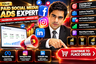 manage facebook instagram and linkedin paid advertising campaigns as ads expert