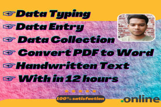 do all your typing work, convert PDF to word, data collection in under 24 hours