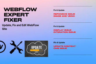edit,fix and update your webflow website