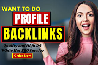 create 250 quality SEO profile backlinks manual link building from high da sites