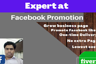 promote your fb ig ads campaign to generate lead on platform