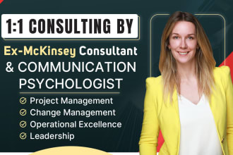 offer project and change management consulting as ex mckinsey