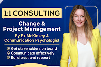 offer project and change management consulting as ex mckinsey