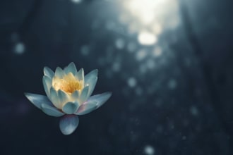 create peaceful, relaxing, soothing, meditative music
