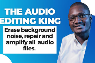 clean up, edit, repair and improve any audio file
