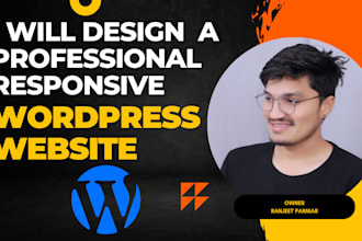 expert wordpress theme customization