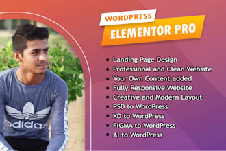 create wordpress elementor ecommerce website, online store