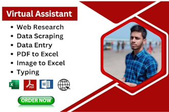 be your virtual assistant for data entry, web research, and google map scraping
