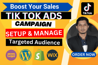 manage and setup run tiktok ads campaign, tiktok ads, tik tok advertising