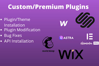 create and install custom plugins, mailchimp, or PHP scripts
