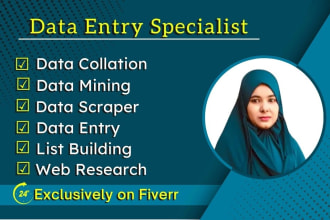 do find email, email finding, data entry, excel data entry