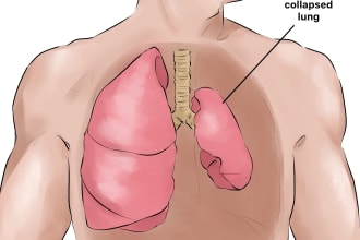 draw anatomy and medical science illustration