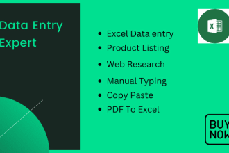 do excel data entry, copy paste and web research, data entry